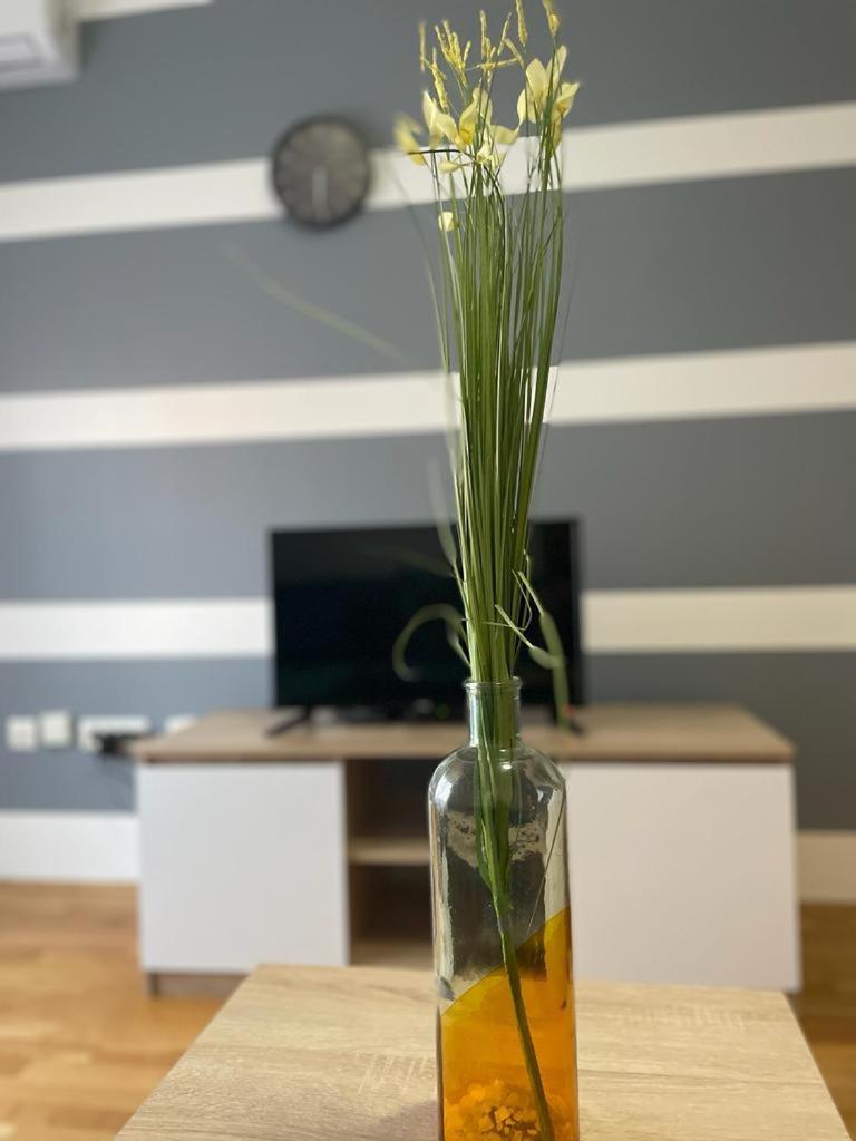 Naki Apartmani Подгорица Номер фото